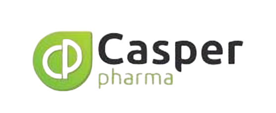 Logo 1